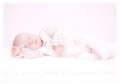 02 Babies 2011